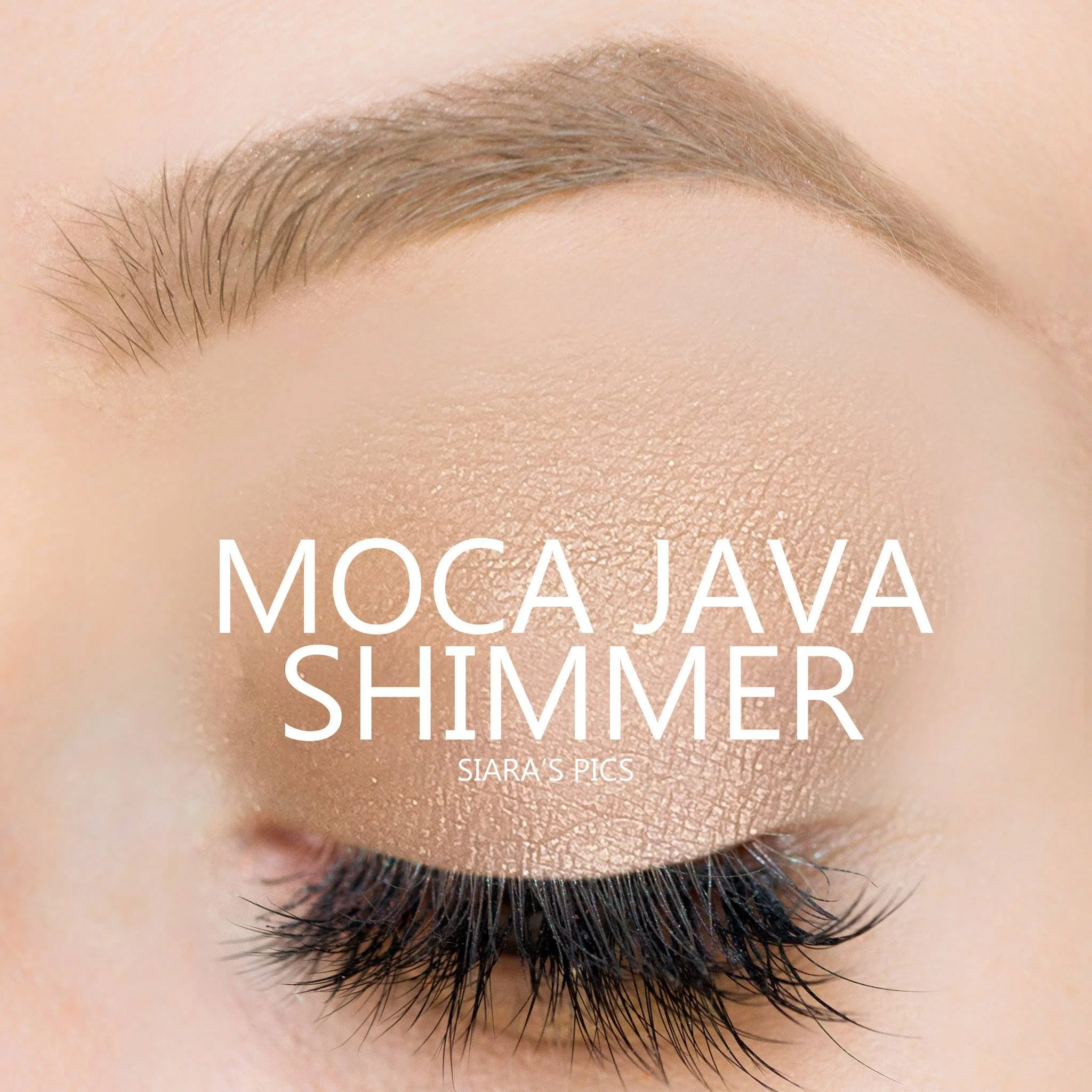 Candied Cocoa Shimmer ShadowSense | Ashley Cejka